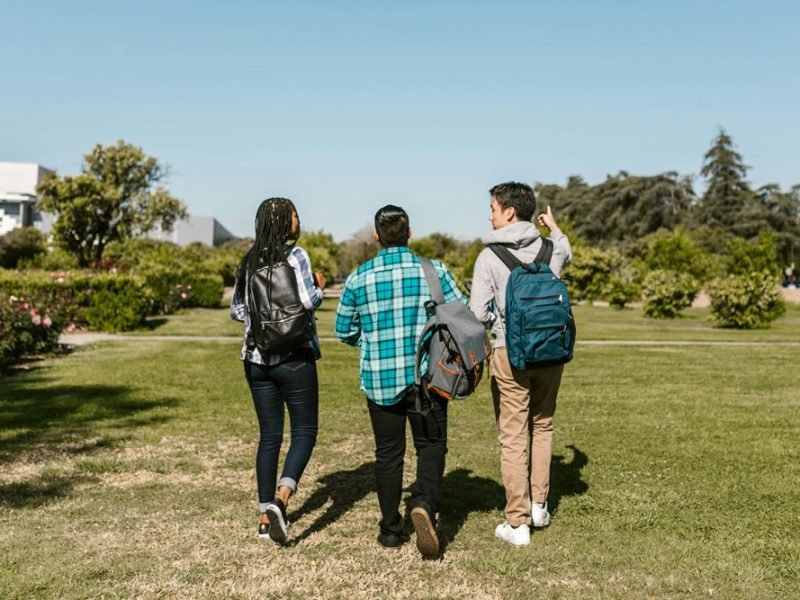 College Career Tips for Research Opportunities